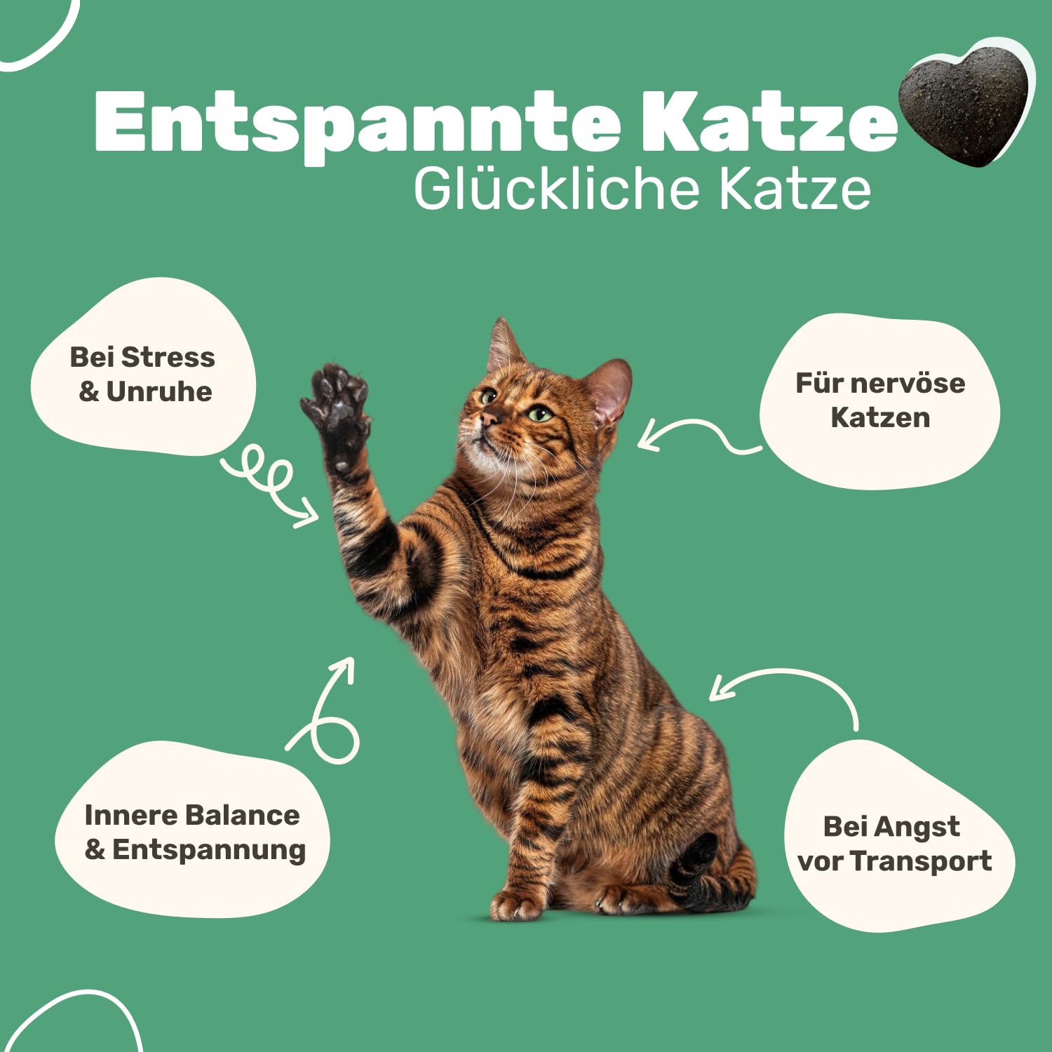 4-in-1 Ruhe Essenz für Katzen | Anti-Stress und Entspannung Katze | Beruhigungsmittel für Katze | Katzen und Kitten Leckerlies | Ergänzung für Nass- und Trockenfutter | Patsli® Chill