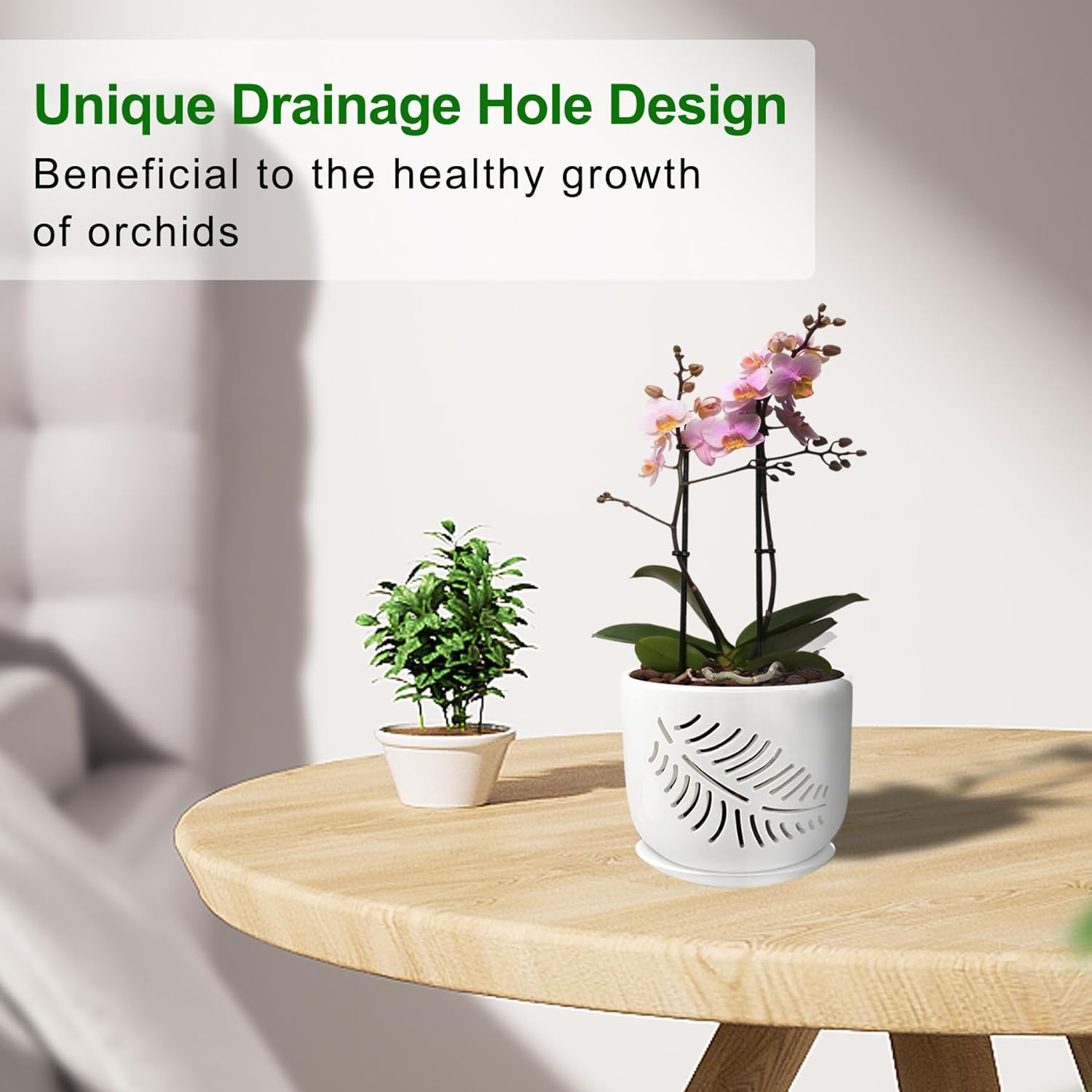 Set of 2 Orchid Pots with Holes, 5 and 6 Inch Ceramic Plant Pots for Plant Lovers – Great for Drainage & Airflow, Indoor/Outdoor Use, Perfect for Repotting