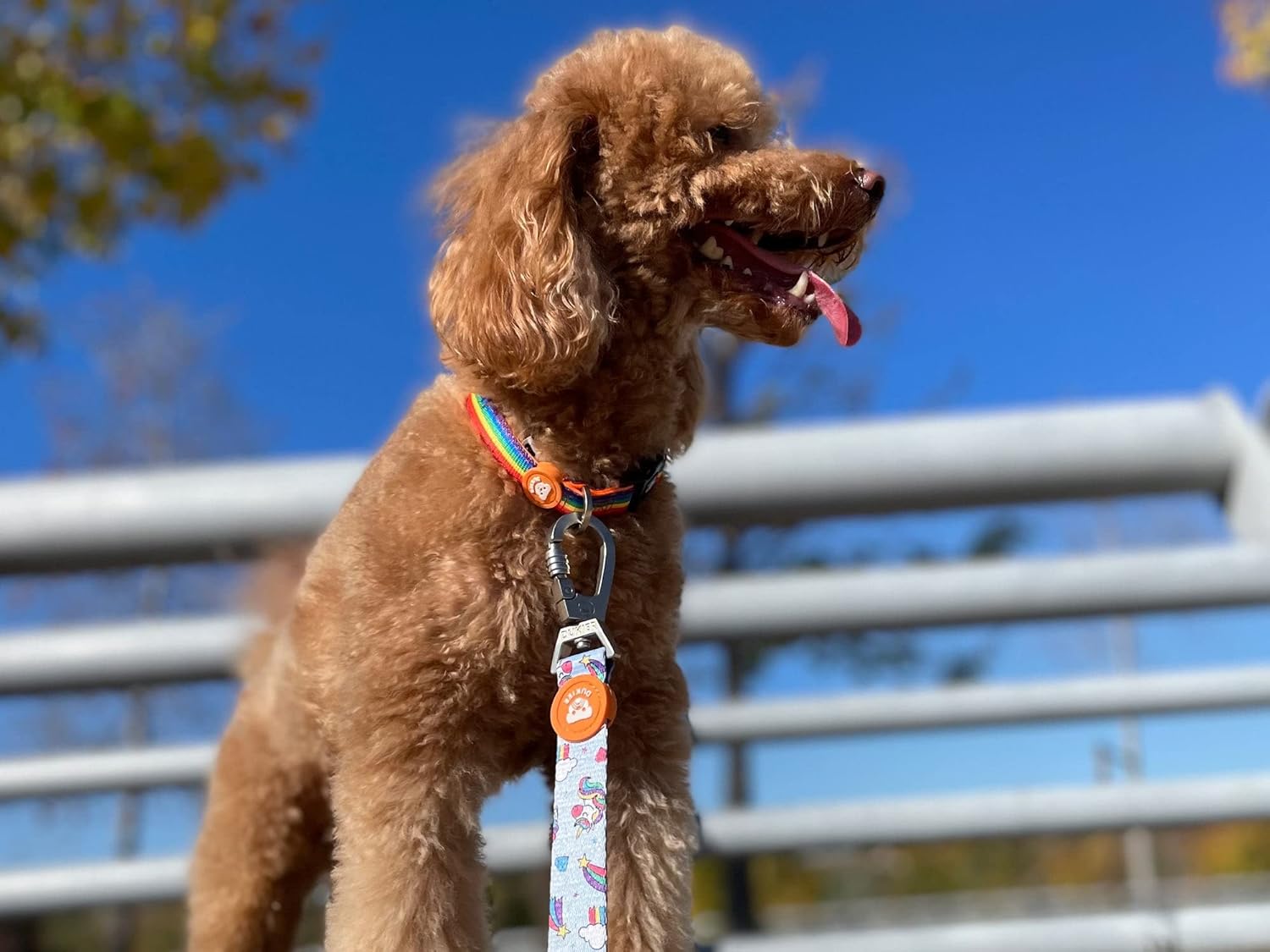 DUKIER - Dog Collar, Adjustable and Adjustable, Neoprene Pet Accessory, Heavy Duty, Unicorns, Size S 5