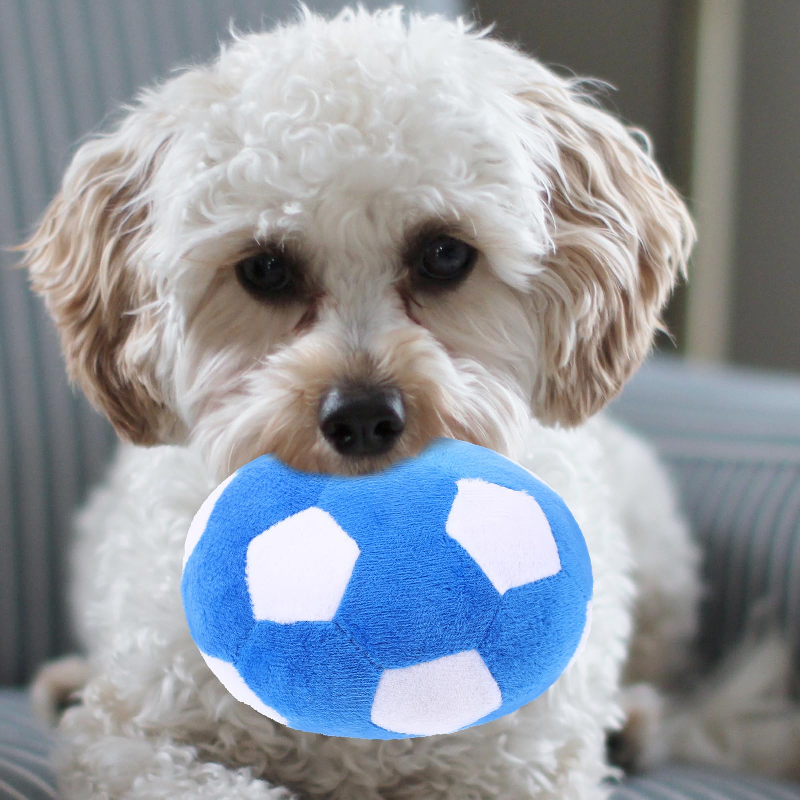 FRCOLOR Dog Chewing Ball Interactive Plush Football Toy for Puppies and Dogs Soft Squeaky Molar Chew Toy for Small to Large Breeds Durable Pet Play Ball for Training and Fun - Image 2
