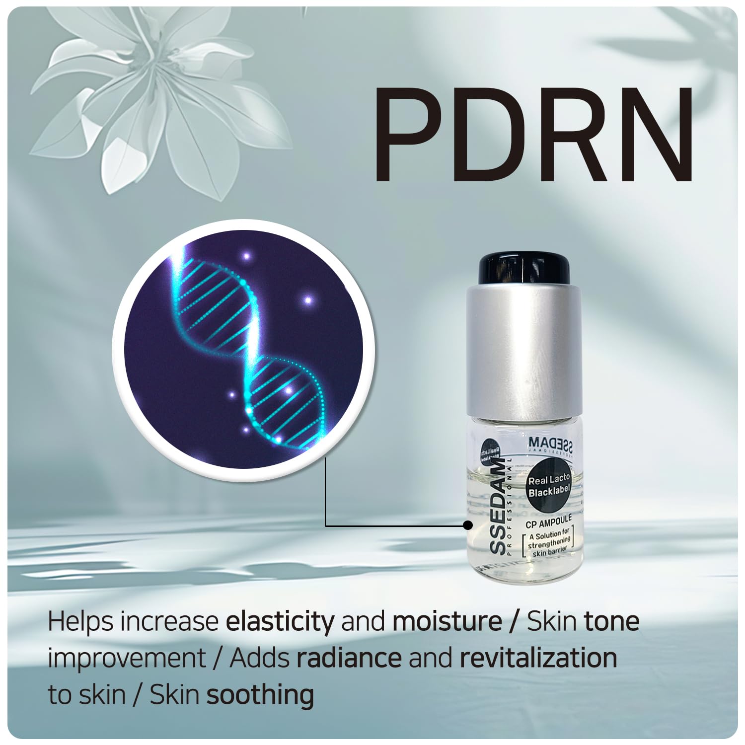 Amazon.com: Dermanex SSEDAM PDRN Real Lacto Blacklabel CP Ampoule
