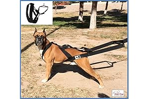 High-Performance Dog Harness: The Ideal Solution for Weight Pulling and Sledding