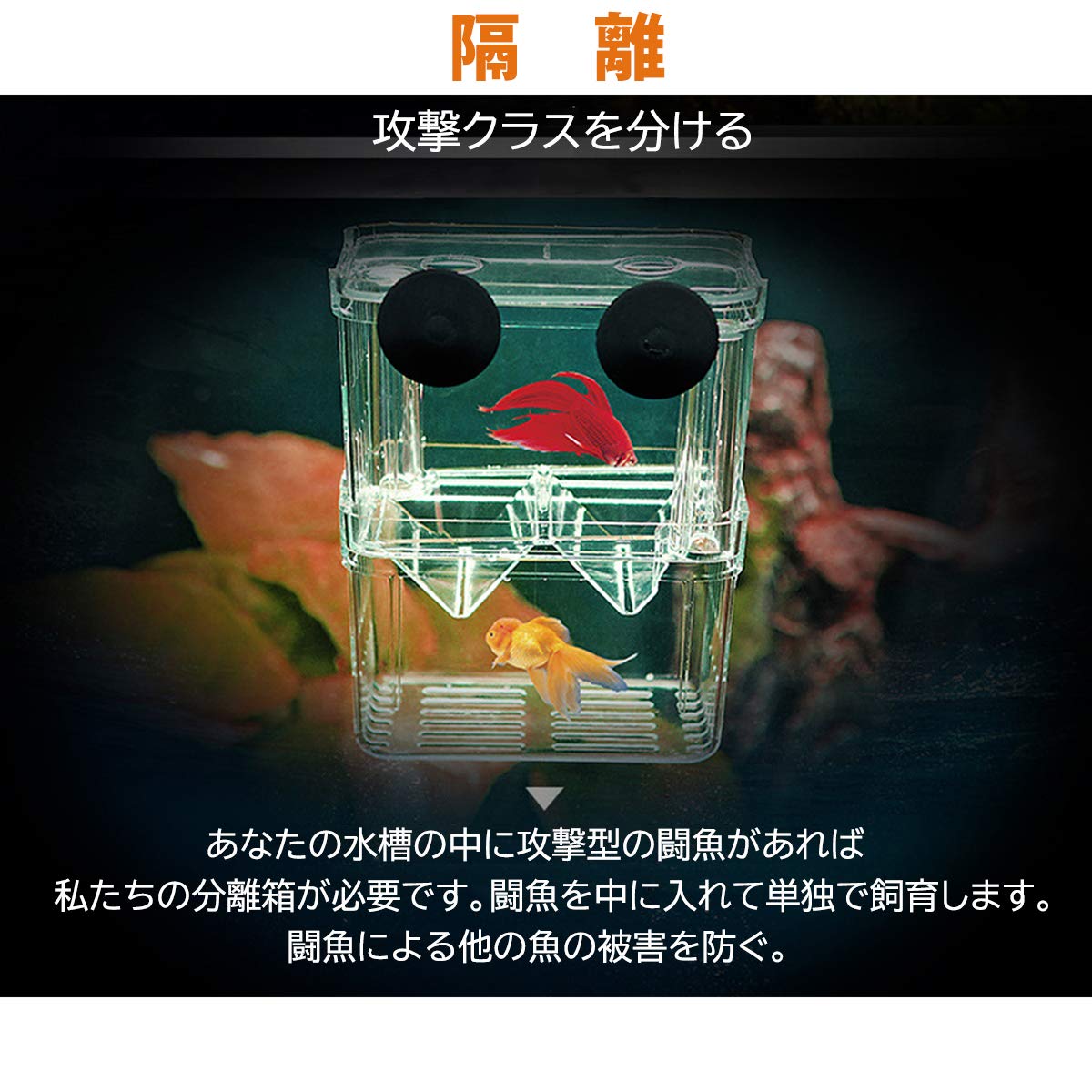 Amazon | PANASONN 産卵ケース 隔離ケース 多機能 魚 繁殖隔離飼養