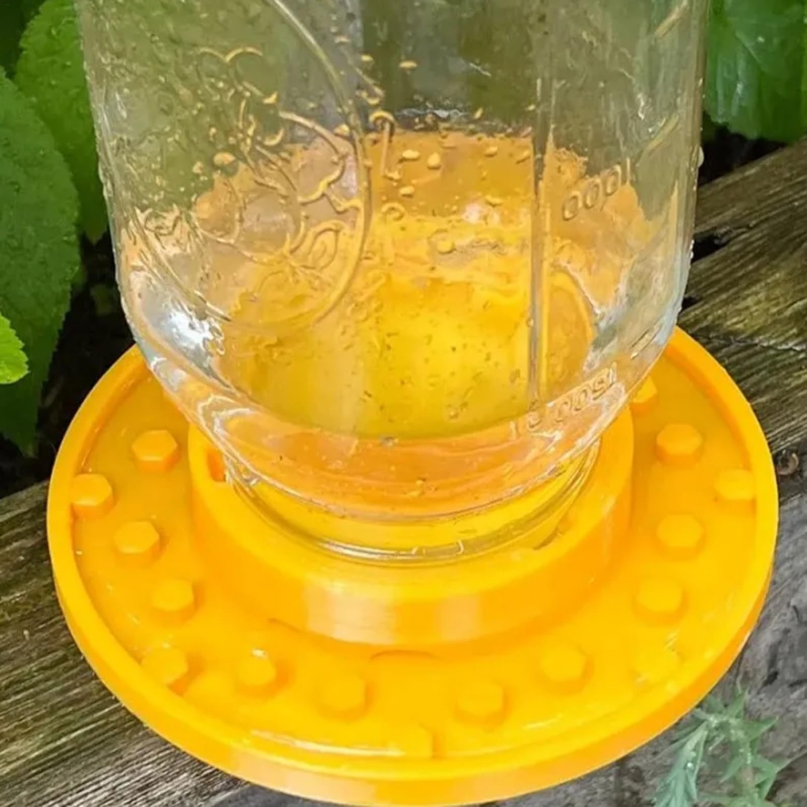 Abreuvoir à abeilles | Mangeoires pour ruches Mason Jar | Mangeoire d'entrée d'eau sucrée et abeille à miel, tasses à abeilles de jardin, mangeoire d'entrée efficace pour ruche, outil d'apiculteur
