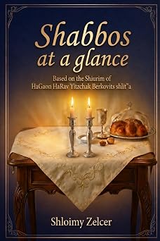 Shabbos at a Glance