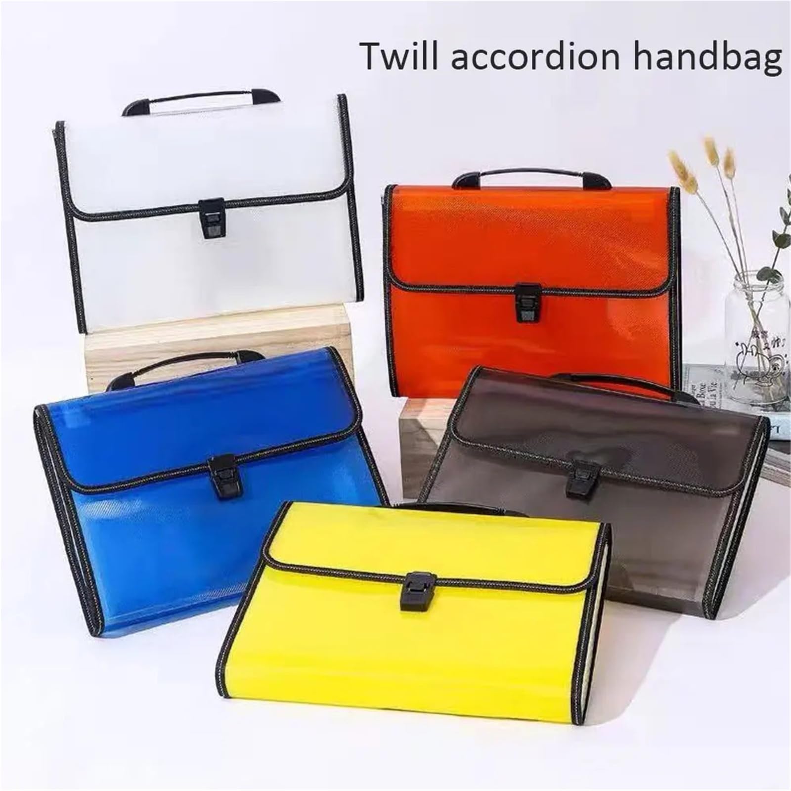 Carpeta Clasificadora Bolsa portátil for archivos de acordeón