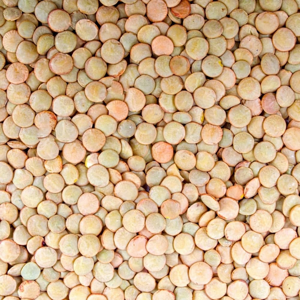 TRS, Lentejas Verdes Enteras, Multipack (20 X 500 GR)