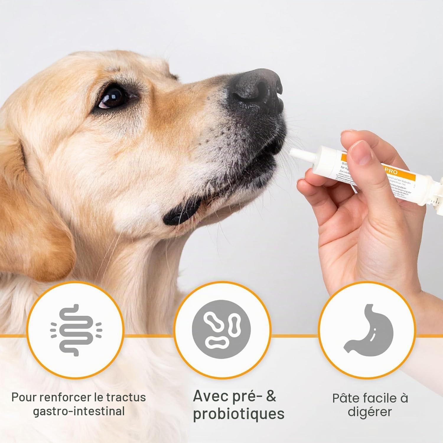 alfavet DiarPositiv Pro, complément Alimentaire diététique, pâte pour Chiens et Chats, soulagement de la diarrhée, injecteur de 30 ML