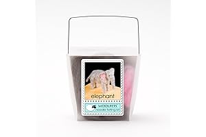 Wool IQ Needle Felting Craft Kit (Made in the USA)