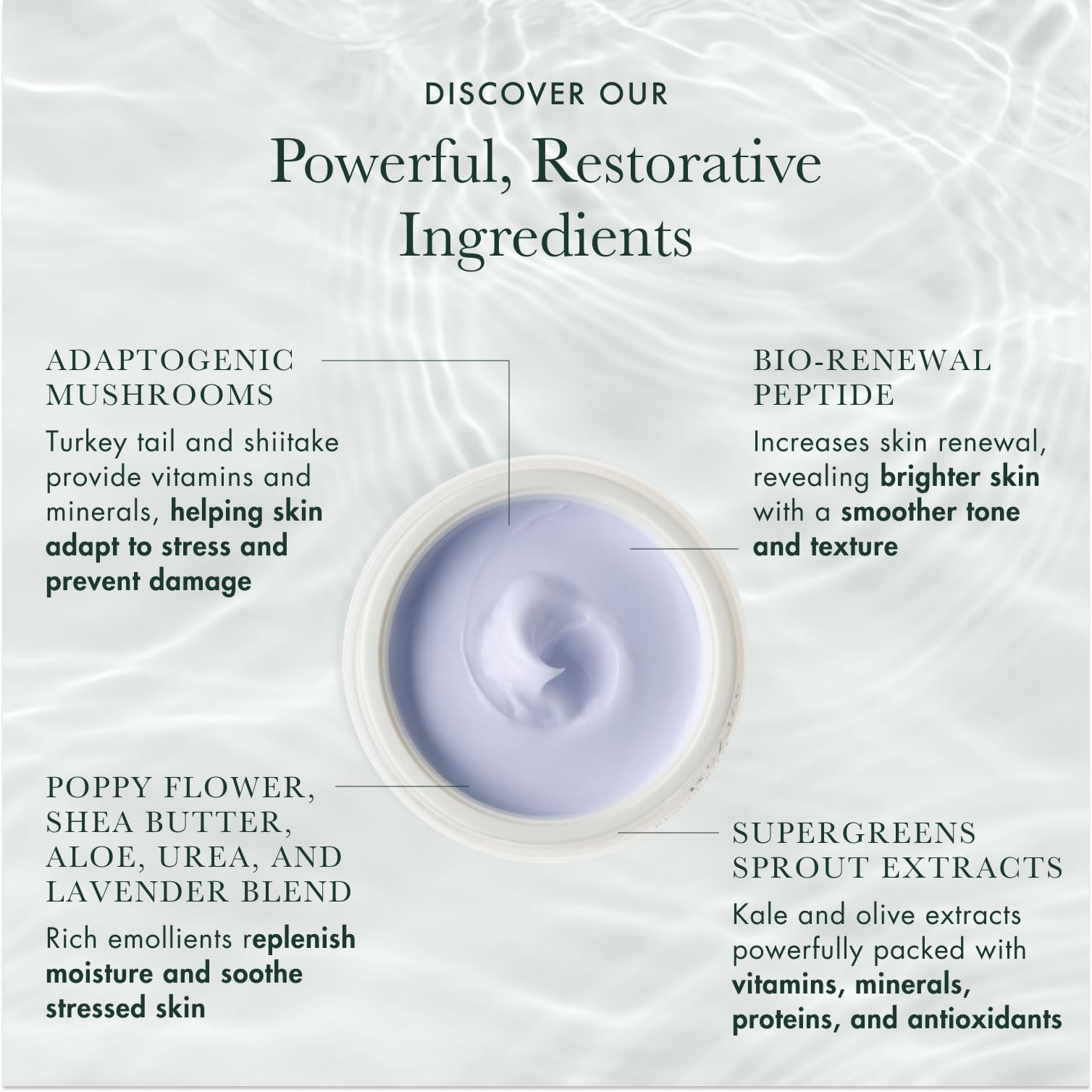 RéVive Rescue Balm Overnight Face Mask - Nourishing Facial Mask to Help Visibly Improve Signs of Stress & Restore Skin Vitality - Made with Peptides, Shea Butter & Aloe Vera to Soothe Skin (2.5 oz)