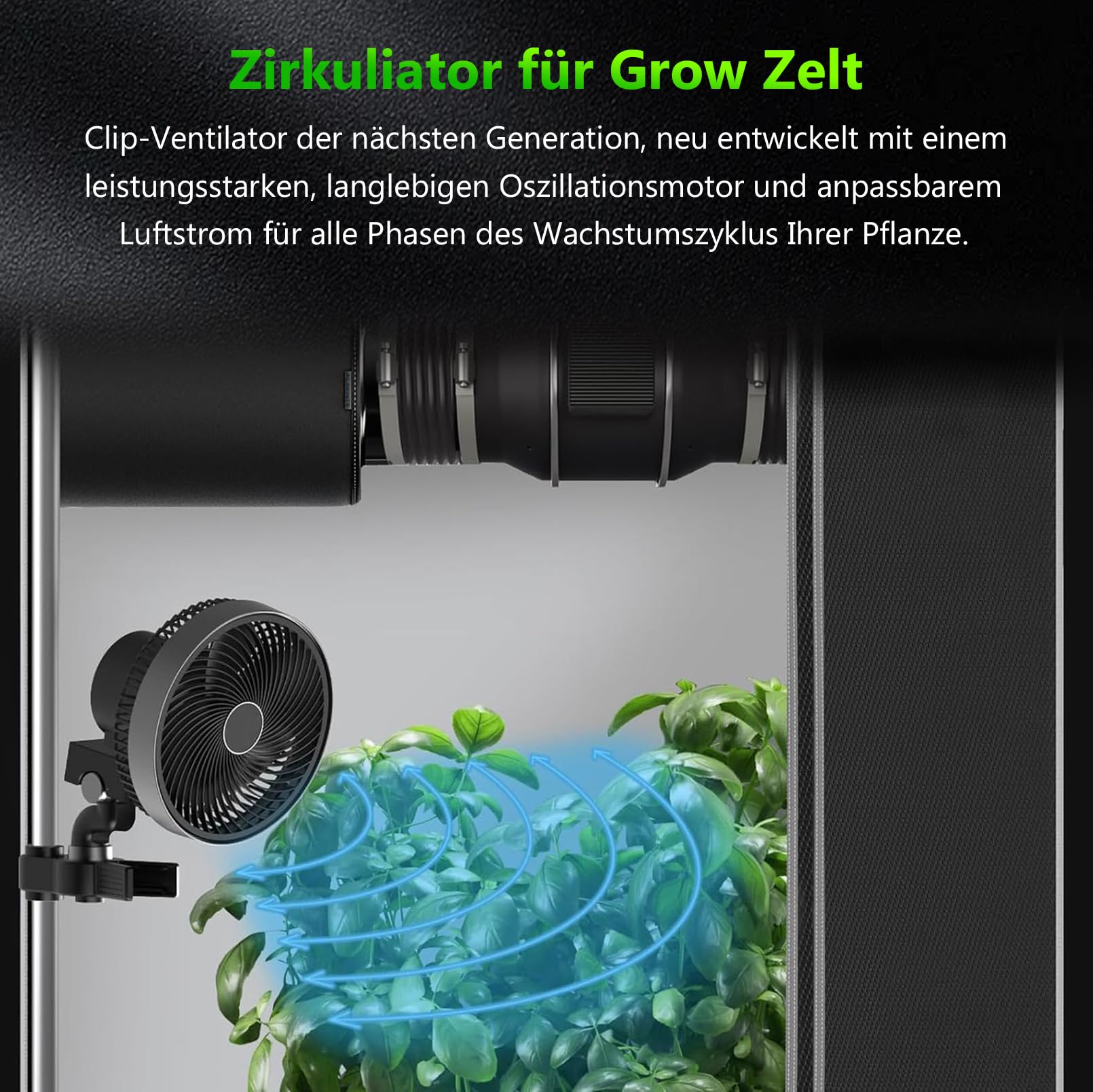 Grow Box 120x120x200cm Growbox, lampada da coltivazione a LED dimmerabile a spettro completo da 200W, kit completo per tenda da coltivazione Set completo per tenda da coltivazione idroponica