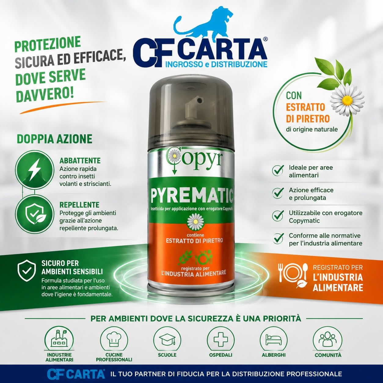 Bomboletta Aerosol Insetticida PYREMATIC, Piretro Naturale, 250ml, per Mosche e Zanzare, Uso Interno, confezione da 6 pezzi