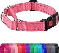 Vista 11 de Joytale Collar Martingale para perros, reflectante resistente para mayor seguridad, hebilla de liberación rápida, collares de nailon ajustables