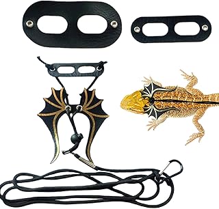 Trela e arnês de dragão barbudo - Pacote de 3 tamanhos Asa de Dinossauro Lagarto Arnês Coleira | Trela de réptil ajustável para lagartixa, dragão barbudo, camaleão, iguana, cobaia Pasukit