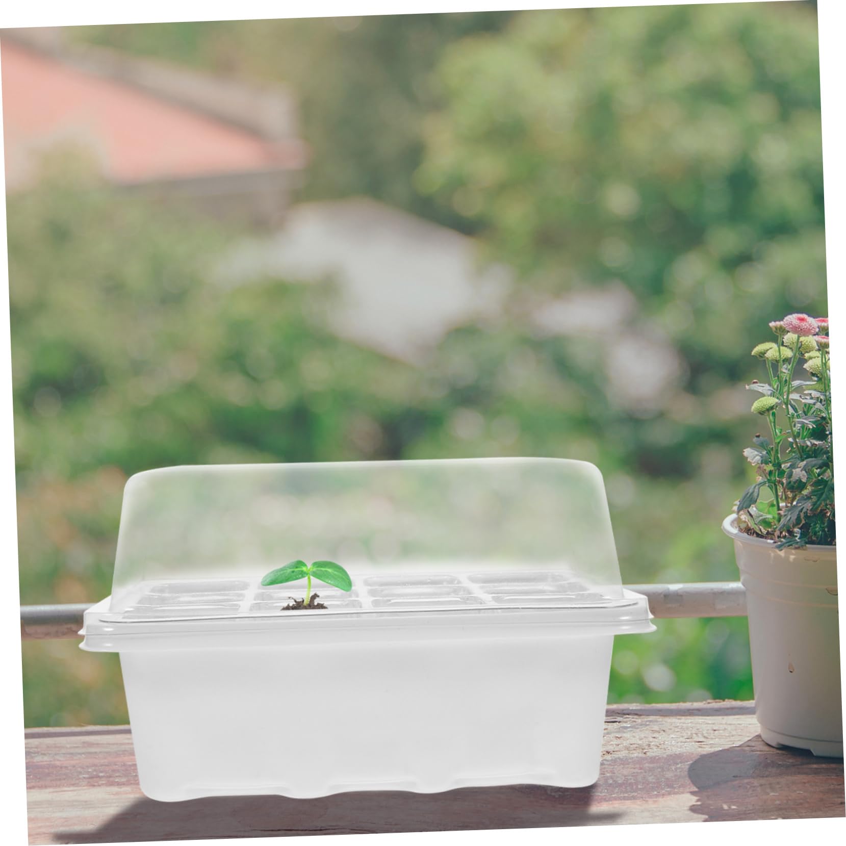 BESPORTBLE 4sets Vassoi per Germinazione Coperchio Kit di Terriccio per Piantine Pet e Accessori per Giardinaggio Adatti per Casa e Giardino