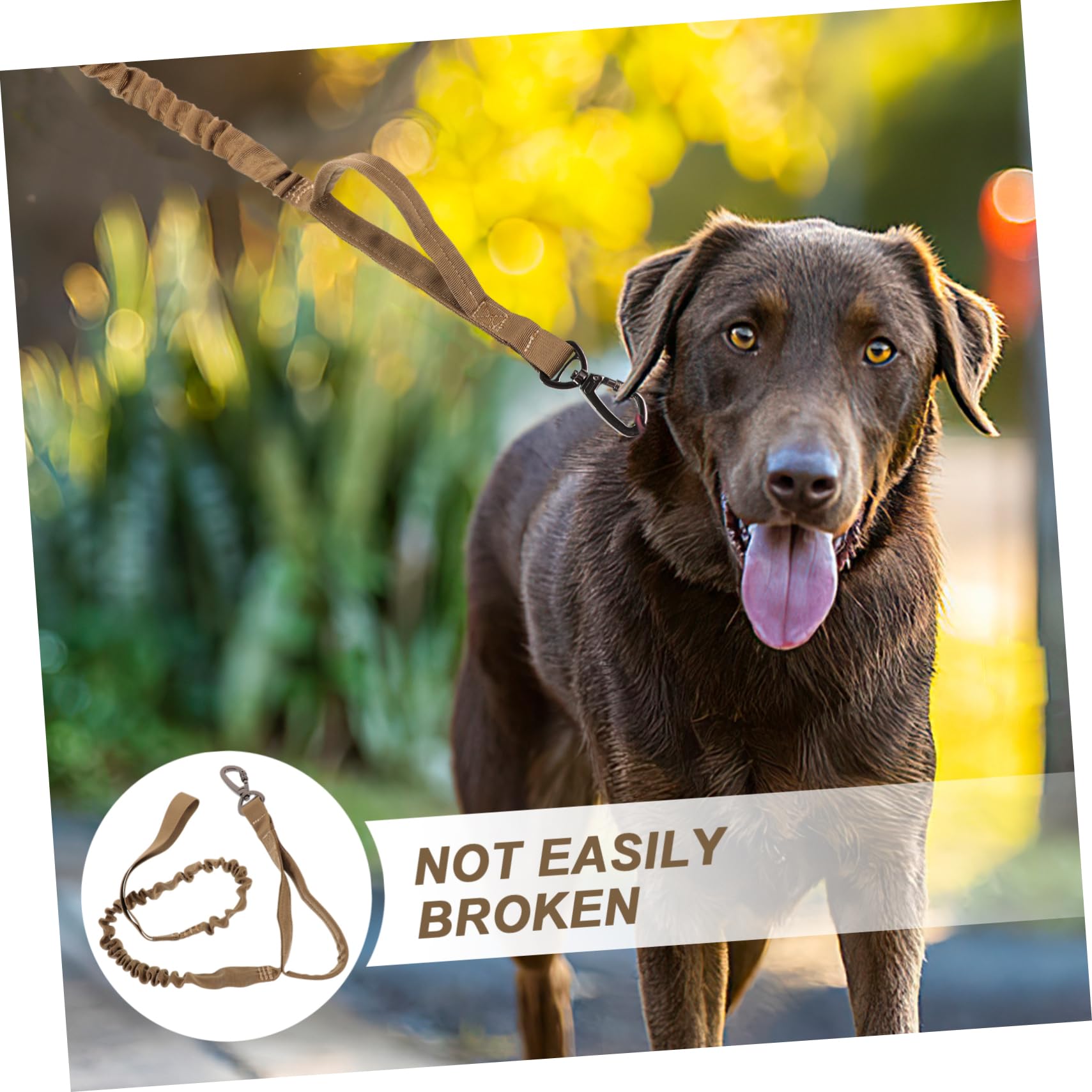 Beaupretty Lot De 3 Laisses Réglables en Nylon pour Dressage De Chiens avec Clip Sécurisé Et Poignée Confortable pour La Promenade Et Lentraînement du Chien