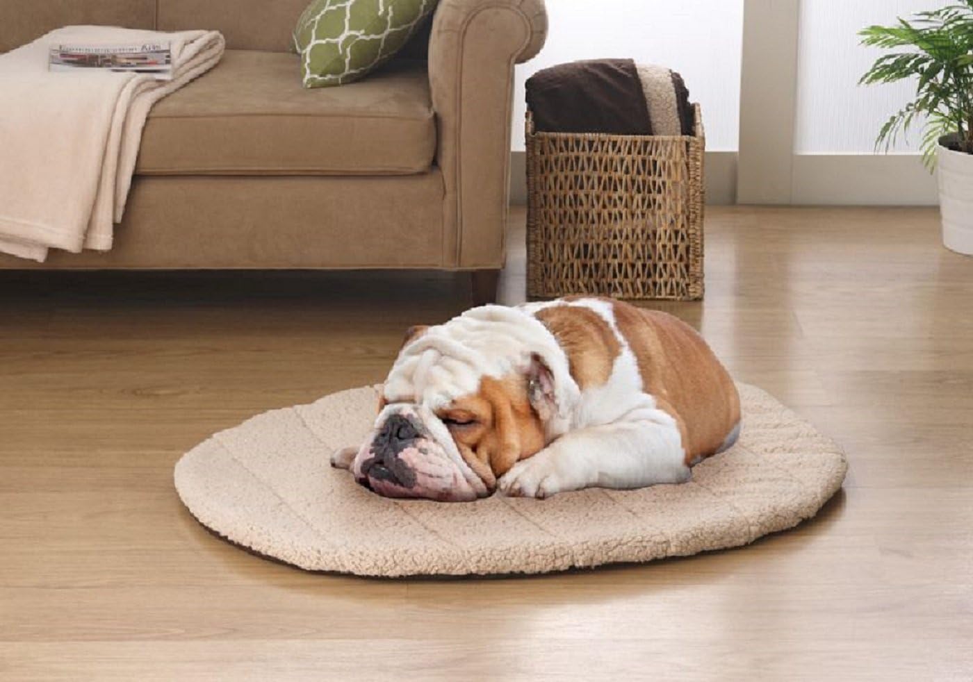 Elaine Karen Deluxe Ultra-Soft Cozy Fleece Reversible Dog Mat - PET Bed - with Travel Bag