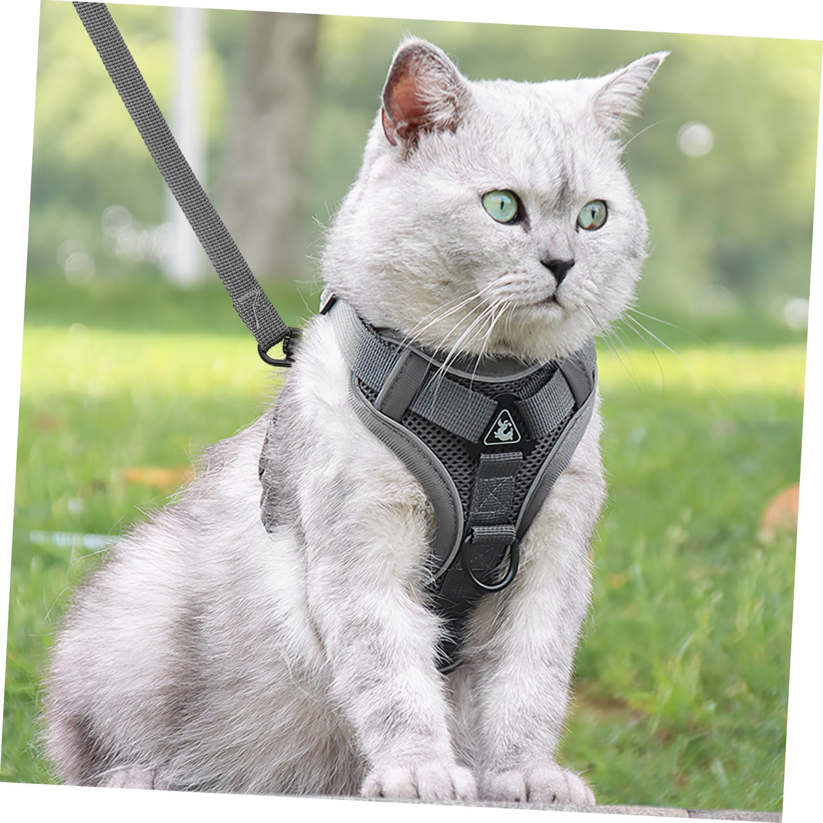 INOOMP 5pièces pour Chiens Et Chats Réfléchissant Gilet Confortable Et Ajustable pour Promenade Extérieur Modèle Maille Respirante Et Securisée
