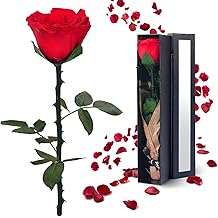 Preserved Flowers Gifts for Women: Valentines Day Mothers Day Birthday Christmas Anniversary Wedding Gift for Mom Girlfriend Wife Grandma Forever Rose for Her Red Single Rose