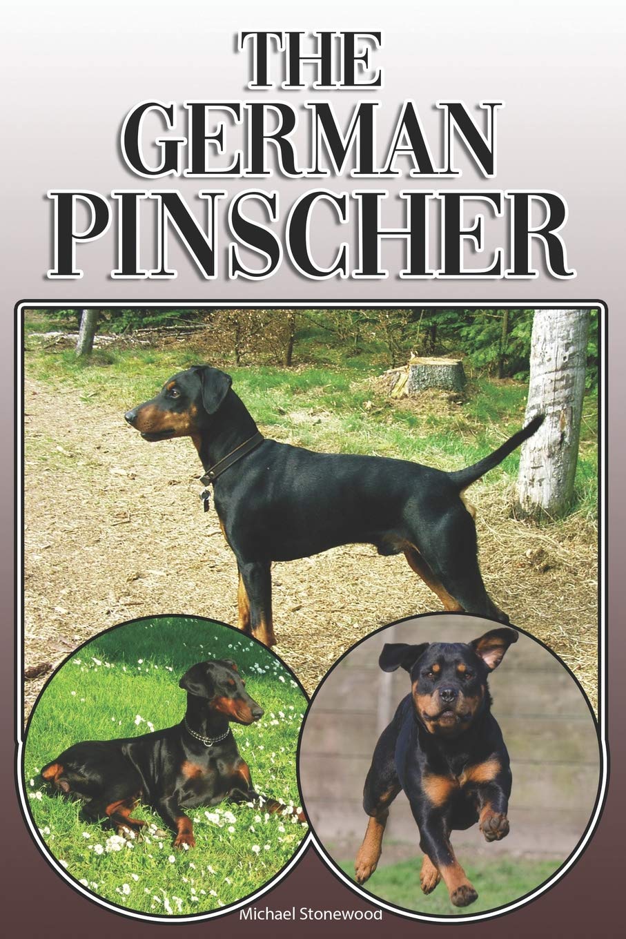 The German Pinscher: A Complete and Comprehensive Owners Guide to: Buying, Owning, Health, Grooming, Training, Obedience, Understanding and Caring for Your German Pinscher