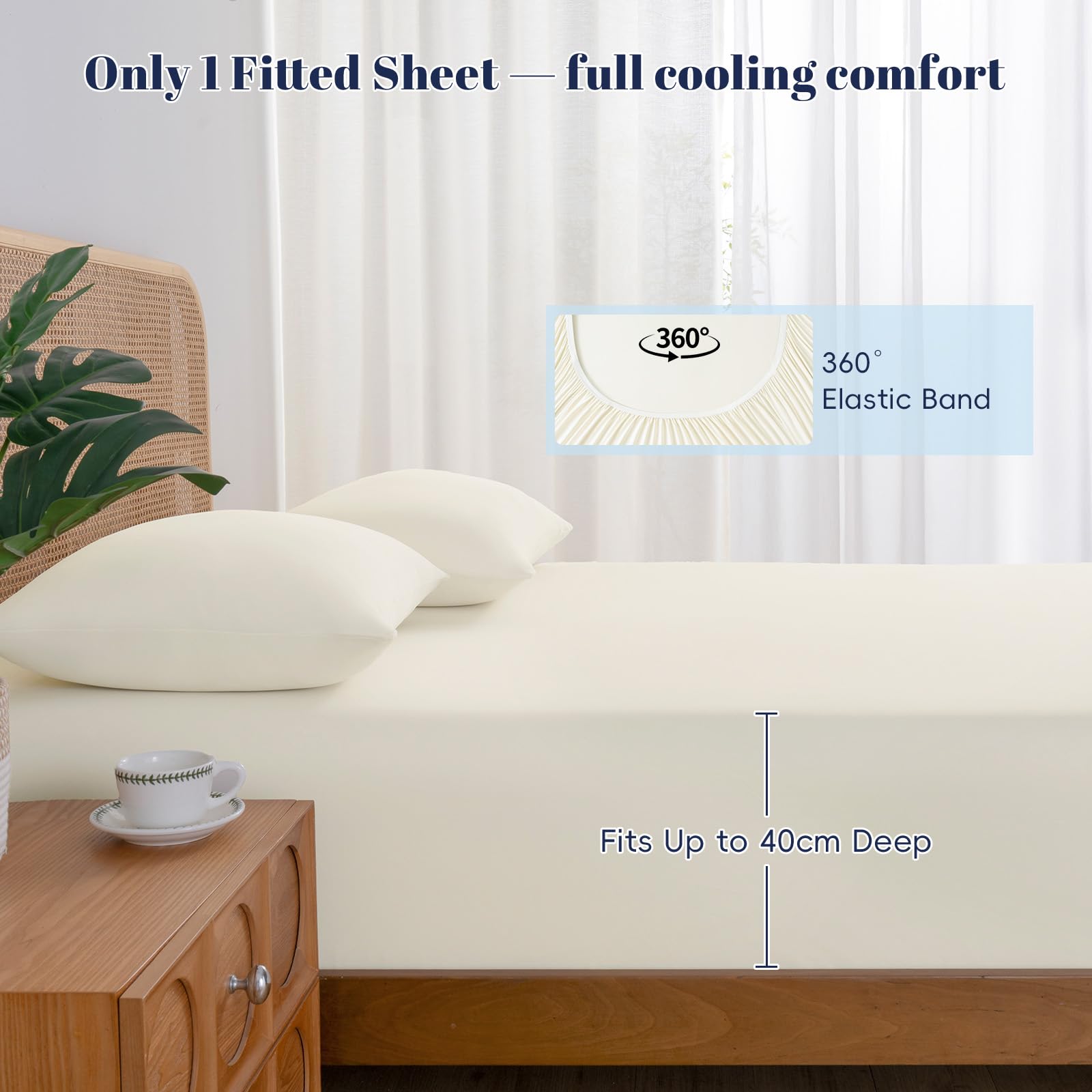 View 5