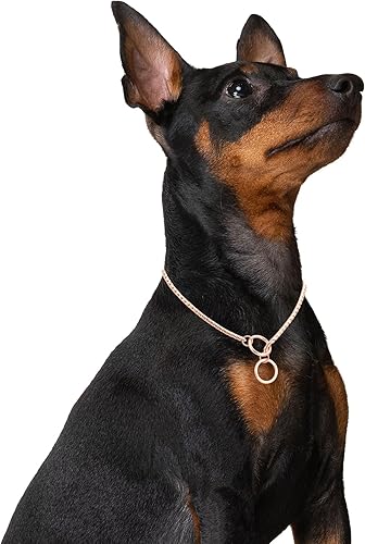 Miniatura 2 de Mogoko Collar de cadena de acero inoxidable para perro, cadena de serpiente de metal para cachorros, gargantilla para entrenamiento y caminar (oro
