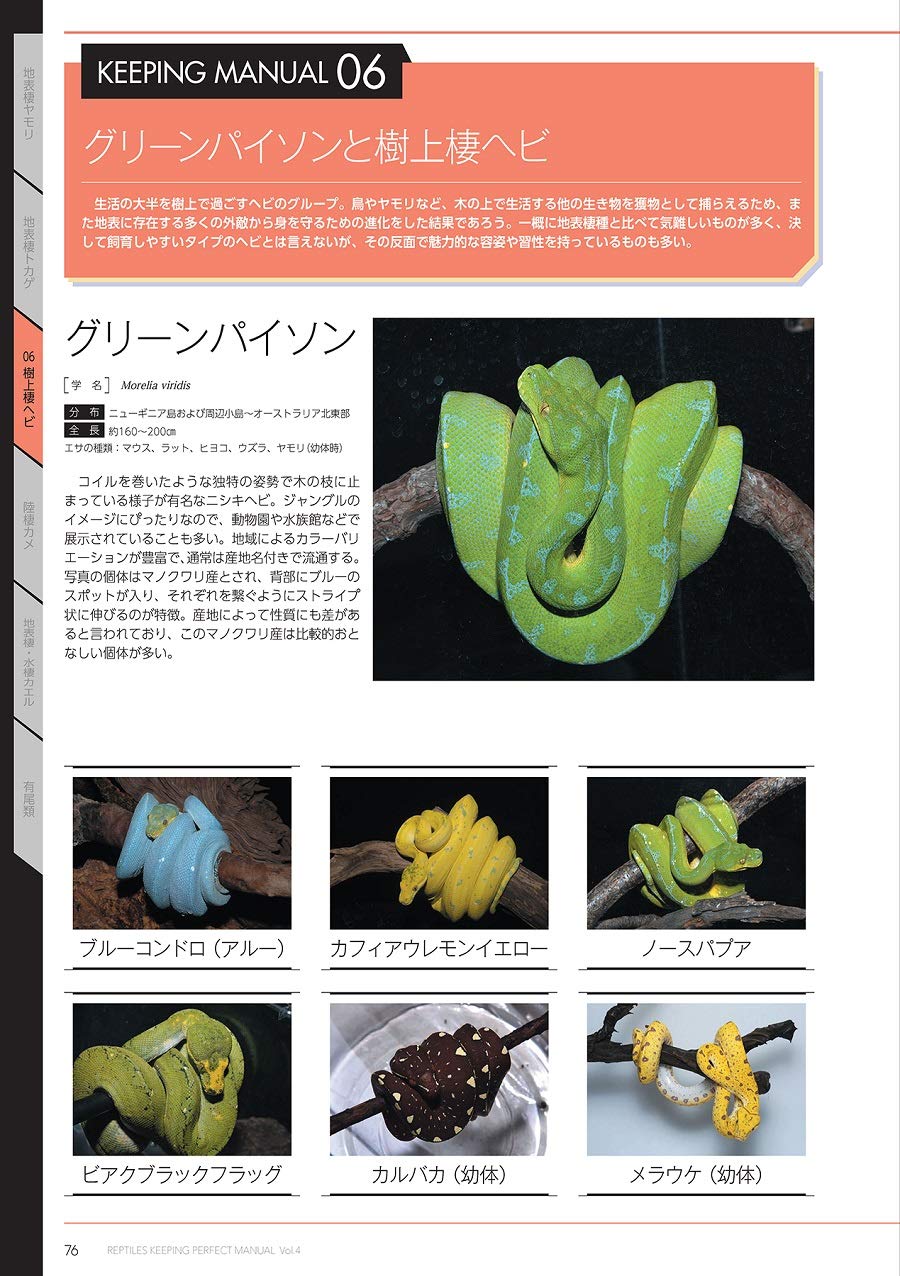 爬虫類飼育完全マニュアルvol 4 サクラムック 本 通販 Amazon 爬虫類飼育完全マニュアルvol 4 サクラムック 本 通販 Amazon