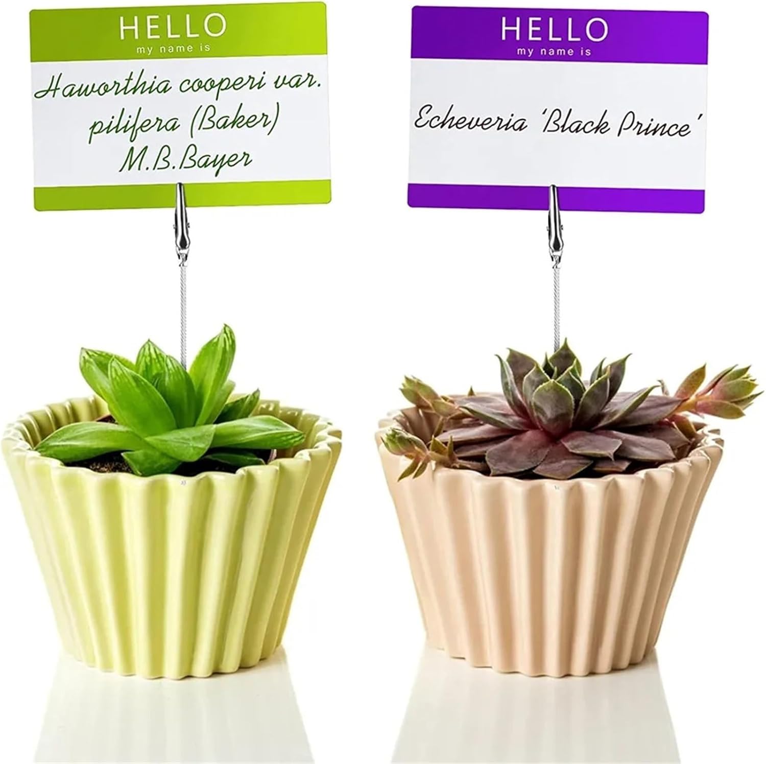 50/10pc Desktop Decoration Stand Desk Card Note Memo Photo Clip Holder Table Place Favor Office Supplies(10Pcs)