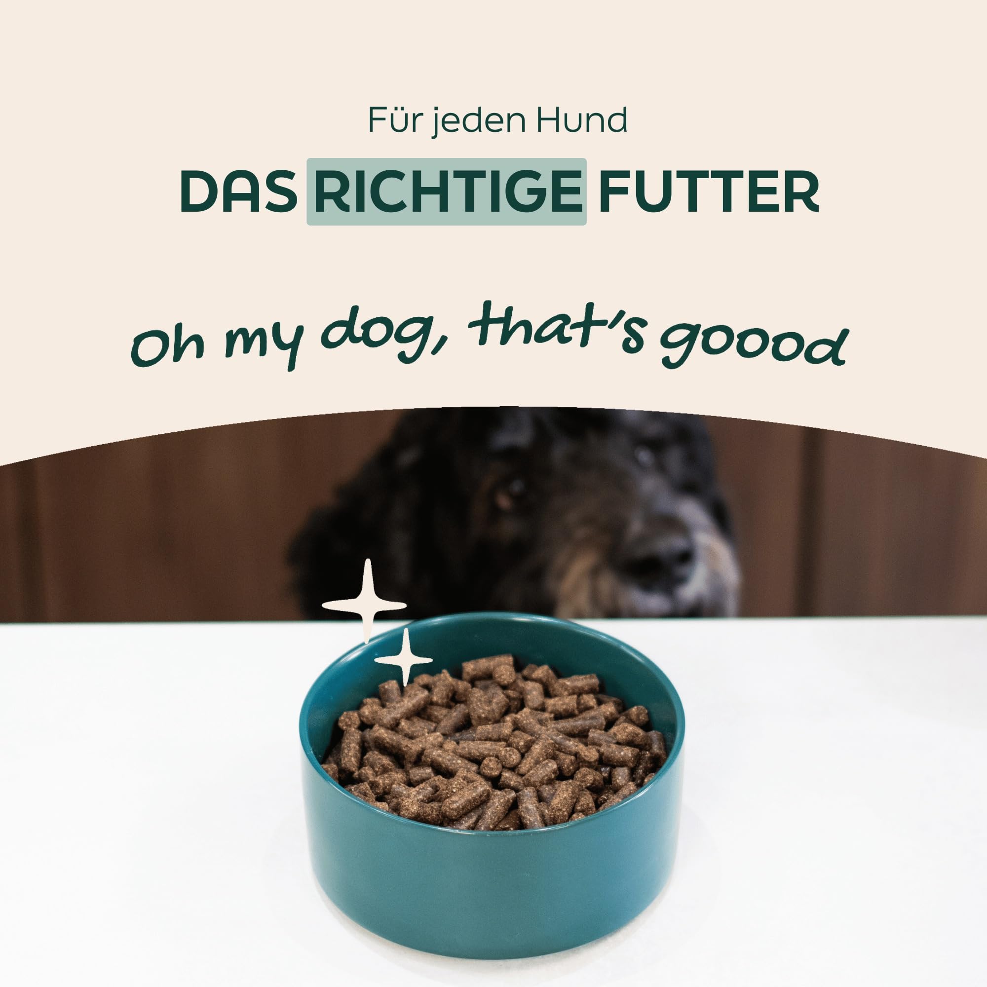 High Energy 36kg kaltgepresstes Hundefutter | Energiereiches Trockenfutter mit Rindfleisch, hoher Energieanteil, Sporthunde