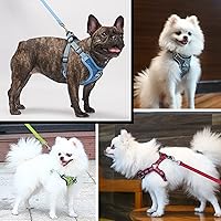 Vista 5 de AMTOR Arnés para perro, juego de arnés y correa para perro, ajustable y reflectante suave para perros pequeños, medianos y grandes