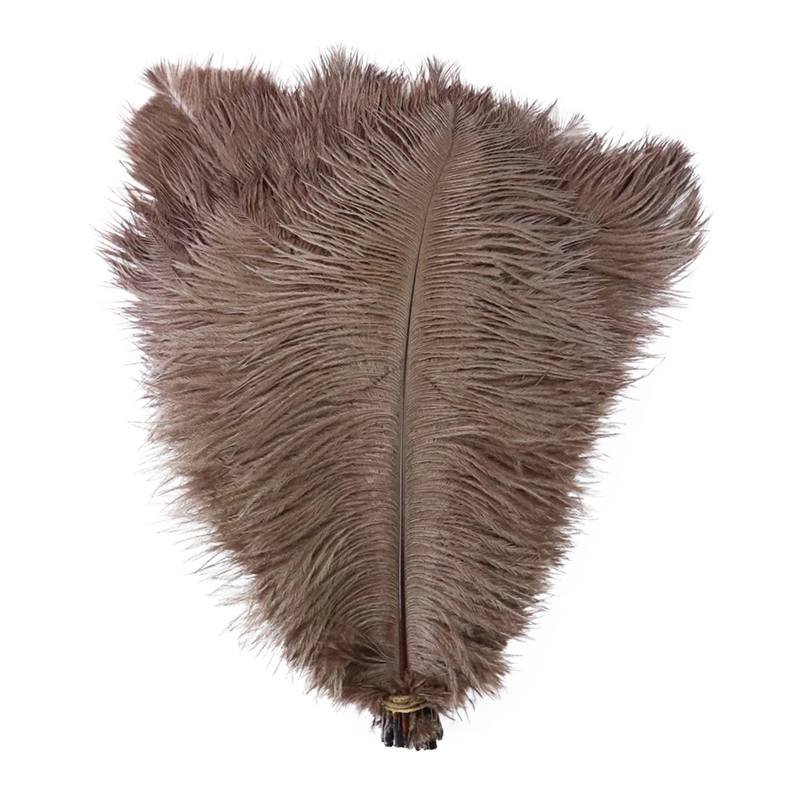 Ostrich Feathers Ostrich Feather for Wedding Decoration Handicraft Accessoires DIY Dream Catcher 15-55CM/6-22Inch Plume Decor 10pcs(30 Coffee,50-55cm 20-22inch)
