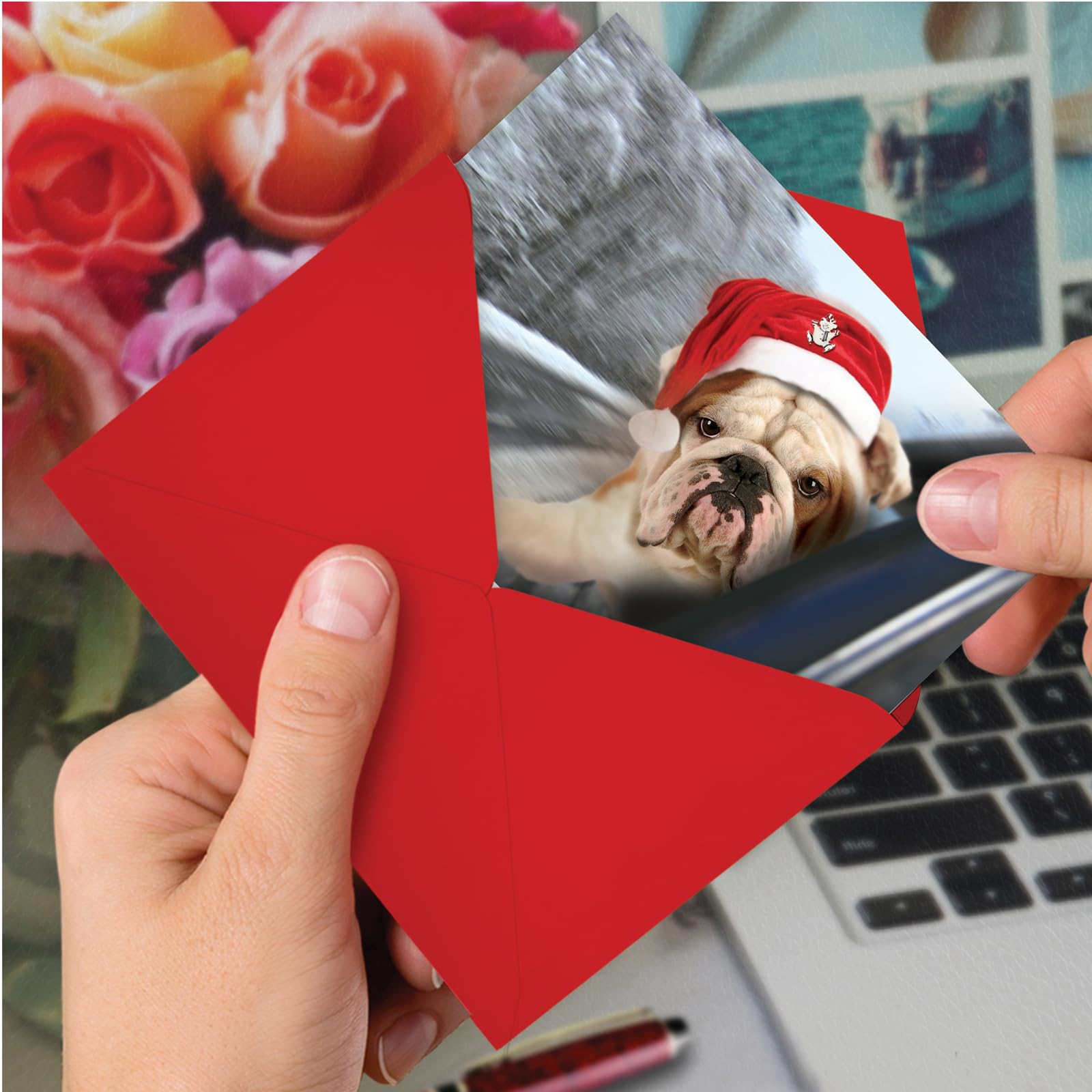 Nobleworks papier Drôles de Noël carte 12 Christmas Card Pack (SKU:B6481FXSG)