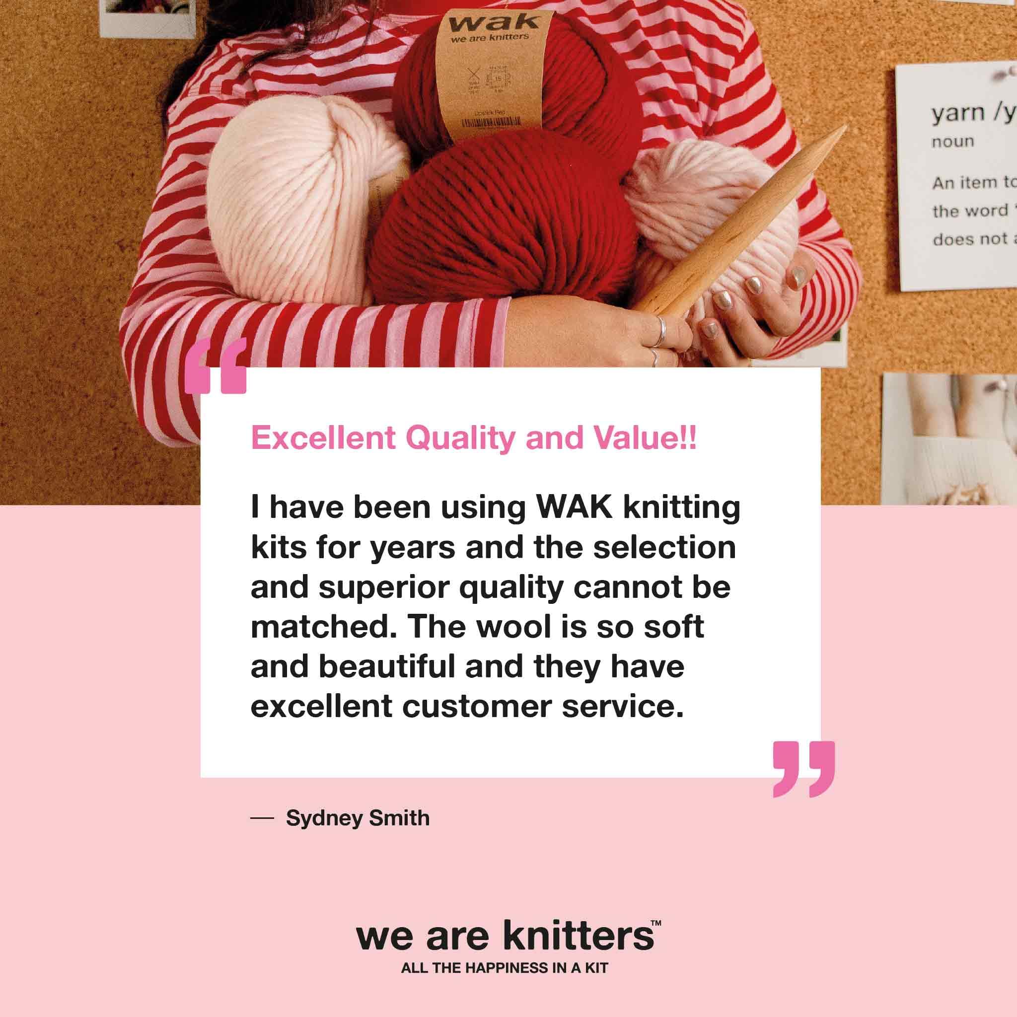 We Are Knitters Stichproben-Strickset, Anfängerfreundliches Strick-Starter-Set mit Baumwollgarn, lernen Sie wichtige Stiche und machen Sie Ihren ersten Schlauchschal