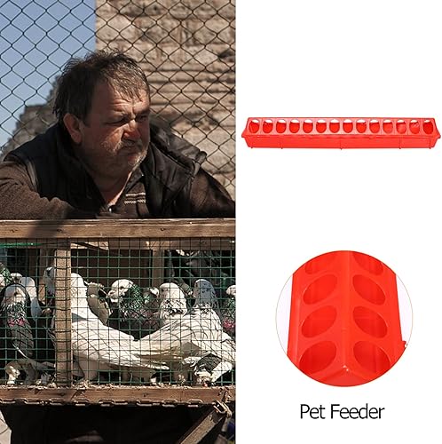 Miniatura 7 de Alimentadores de pollo con tapa abatible de plástico, bandeja de alimentación para aves de corral, comedero pequeño para aves de corral, 2 uds