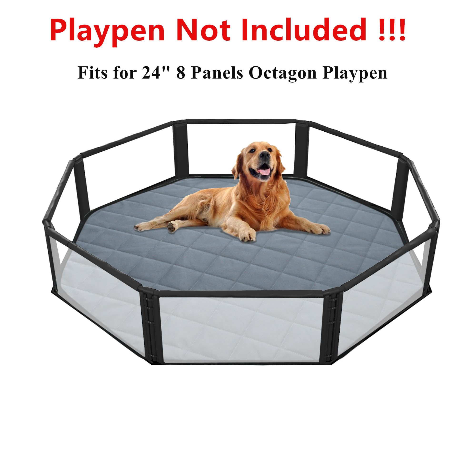 https://m.media-amazon.com/images/I/71467o4VpgL.jpg