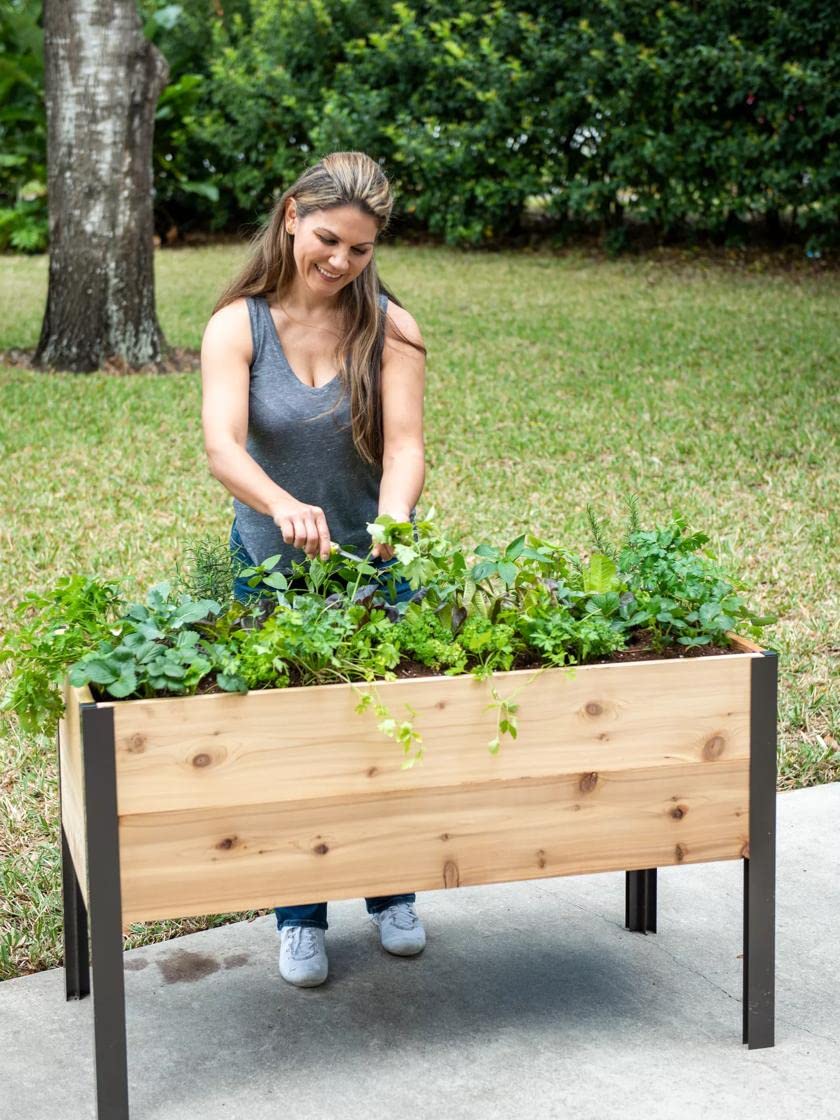 Gardener's Supply Company Raised Garden Bed Elevated Cedar Planter Box | 2' x 4' Self-Watering Standing Garden for Outdoor Plant Vegetables & Flower Gardening Perfect for Patio Deck & Yard