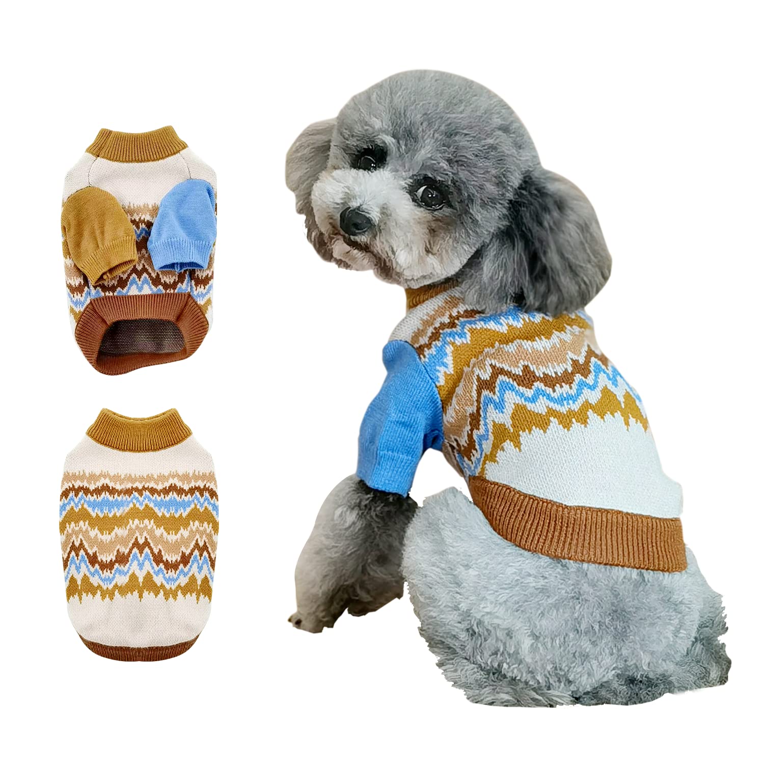 Do Dogs Need Sweaters In Cold Weather