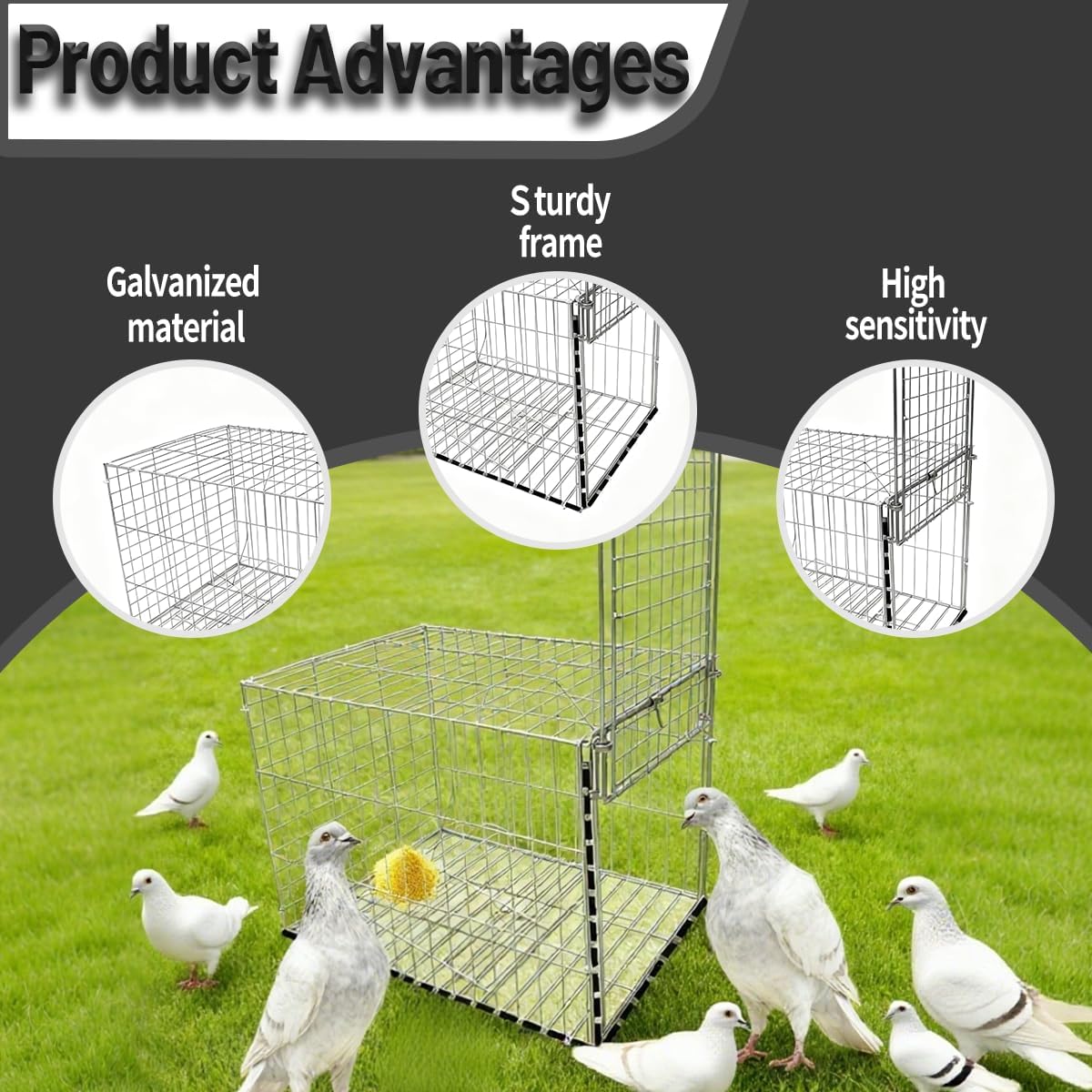 One Way Entry Pigeon Trap, Portable and Easy to Assemble Outdoor Bird Cage with Escape Proof Design Spacious Bird Cage Pigeon Cage Suitable for Parrots Suitable for Roofs Open Gardens Farms Barns