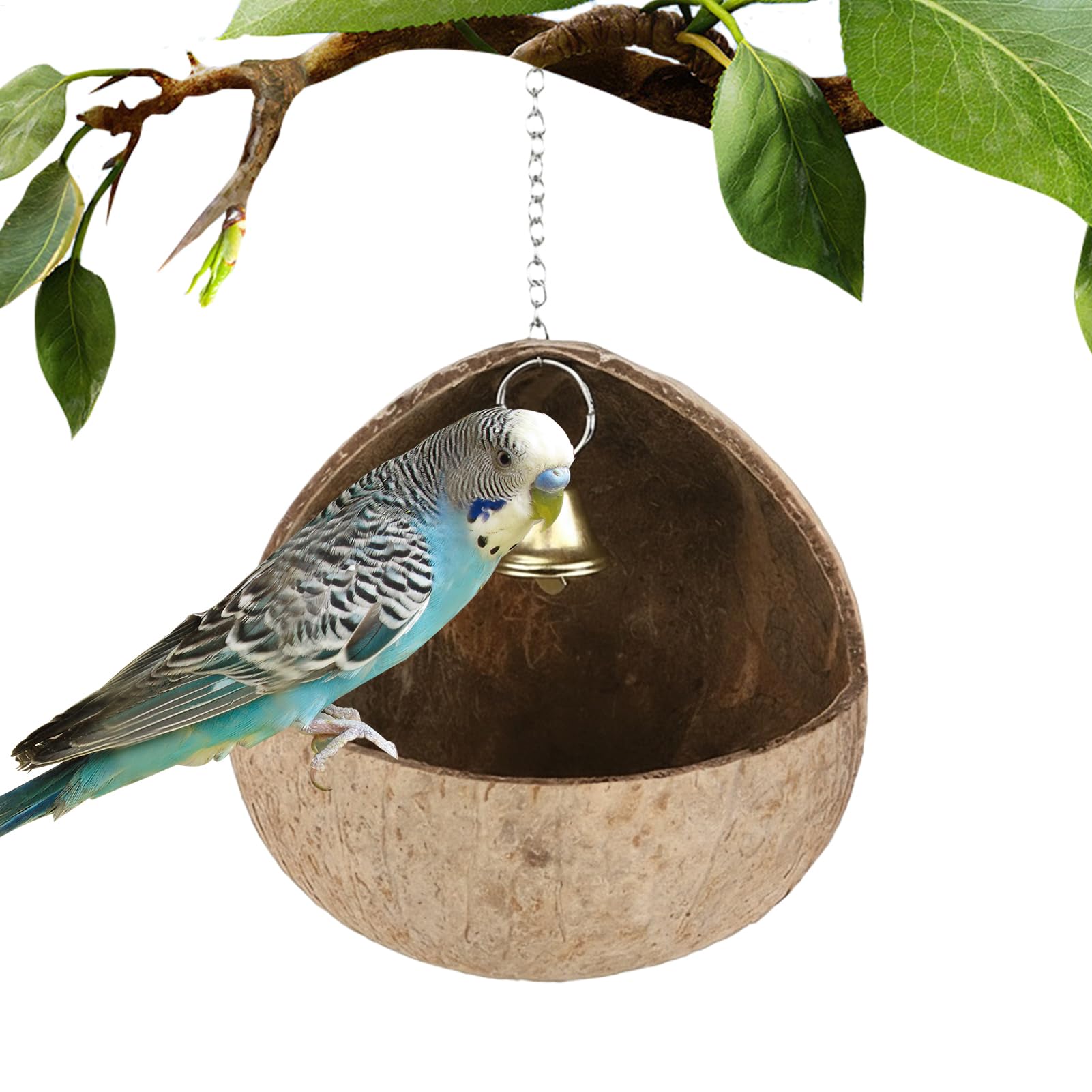 Nichoir pour oiseaux de jardin et nid d'oiseaux pour arbre