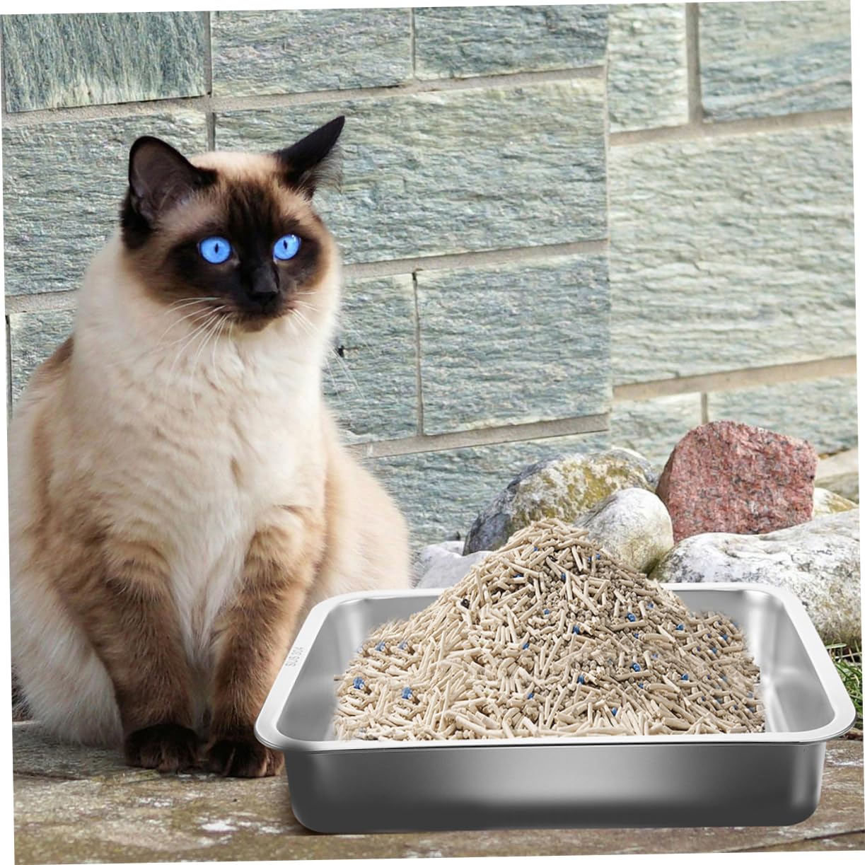 Abaodam Kleine Offene Katzentoilette Aus Edelstahl Antihaftbeschichtete Stabile Und Pflegeleichte Katzenstreu-schale Für Kitten Und Kleine Katzen Magnetfreies Design