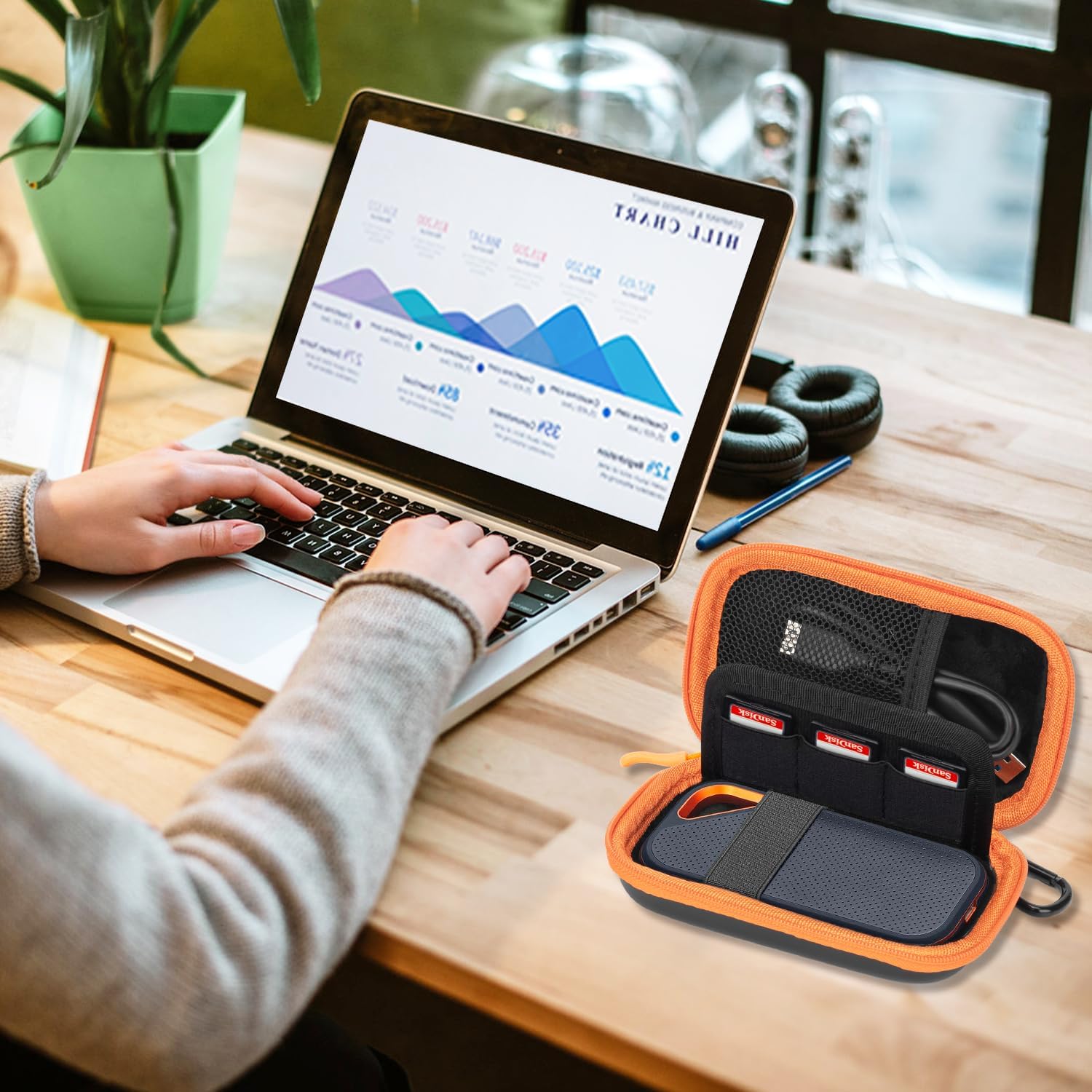 Hard Case for SanDisk Extreme Pro/SanDisk Extreme Portable External SSD 2TB 1TB 500GB 128GB, Memory Card SD SDXC SDHC Card Holder Organizer, External Hard Drive Case Protective Cover Storage Bag