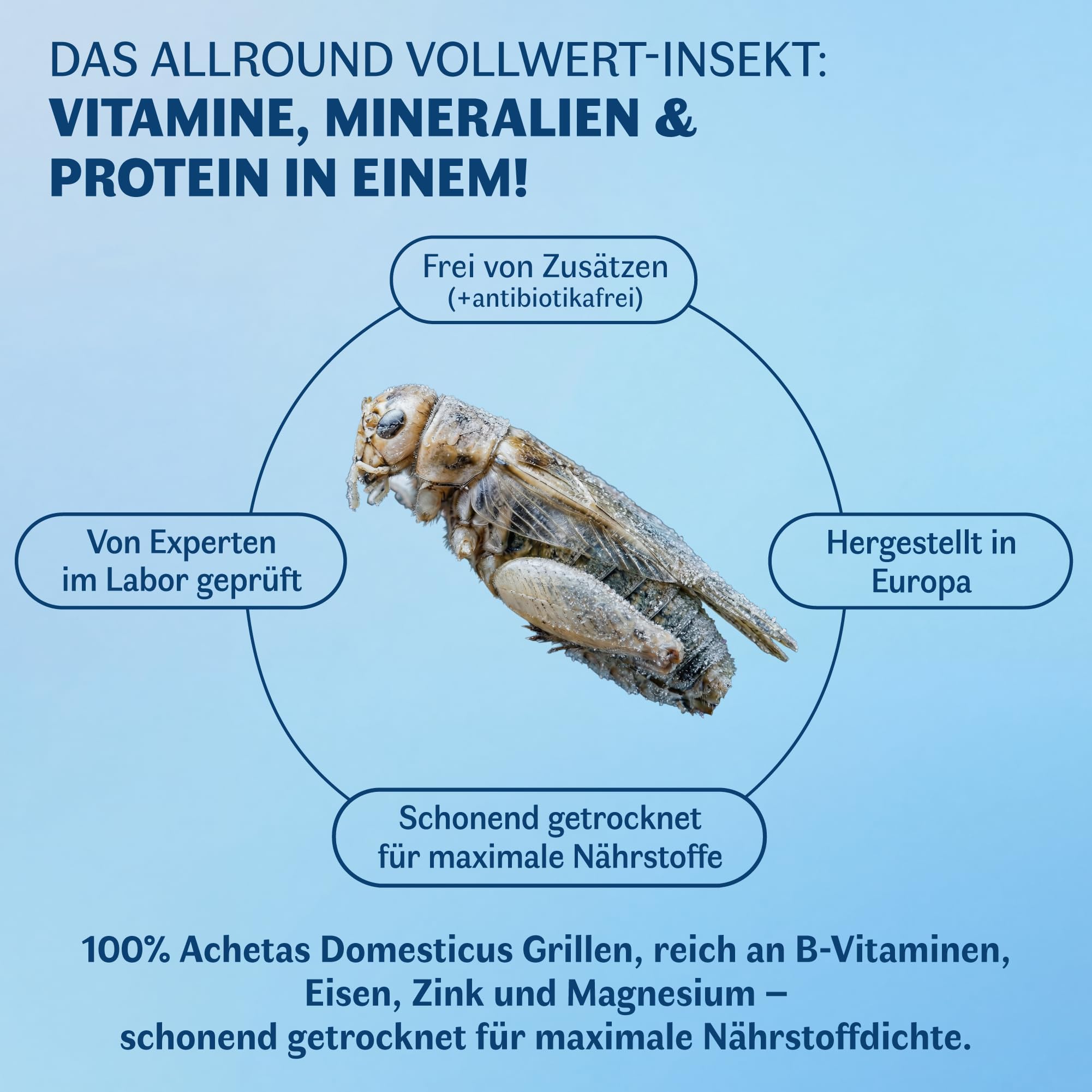 Gefrorene Heimchen – Insekten Vogelfutter für Reptilien, Vögel, Fische & Hühner | Proteinreiche Grillen | Alternative zu Mehlwürmer getrocknet | Made in Germany -2kg groß
