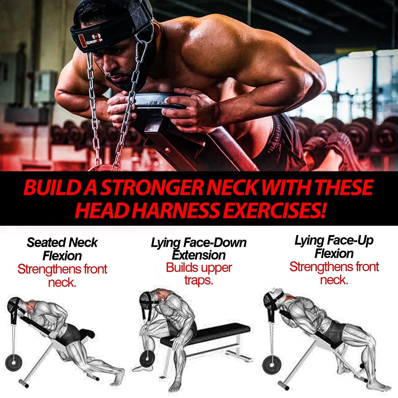 Weight Lifting Pro Head & Neck Harness Gym Workout Exercise Training Weight Lifting Pro Head & Neck Harness Gym Workout Exercise Training