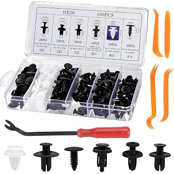 105Pcs Car Retainer Clips & Removal Tool Kit - 100 Universal Auto Push Pin Rivets 6 Sizes with 5 Pry Bars. Bumper Fender Door Trim Fastener Set for Toyota Honda GM 105Pcs