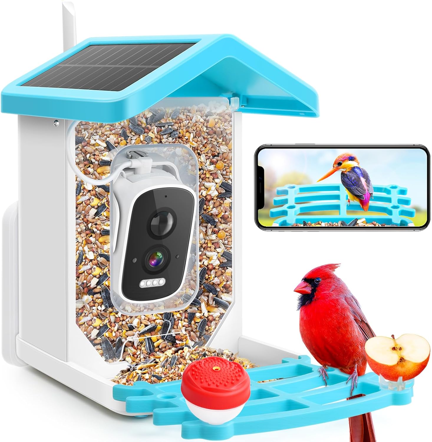 Bird Feeder with Camera, AI Identify Birds Species 2.5K HD Auto Capture, Smart Bird House with Cam, Video Camera Birdfeeder Solar Powered