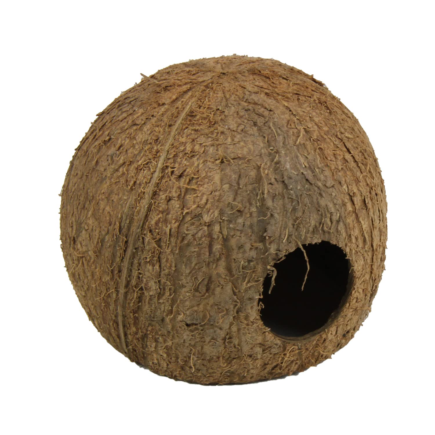 JBL 61512 miska z orzecha kokosowego jako jaskinia do akwariów i terrariów Cocos Cava 3/4 l