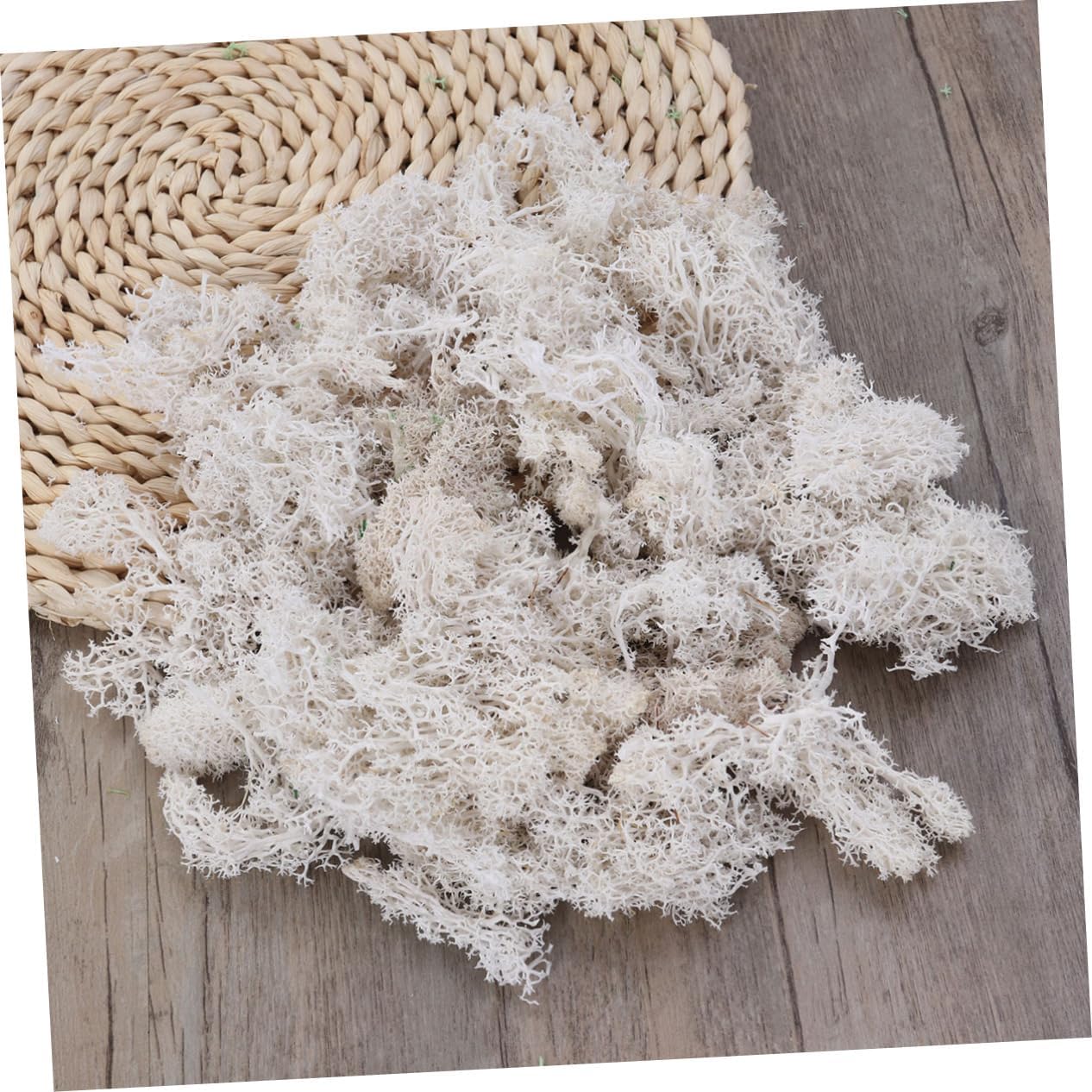 EXCEART 3pcs Preserved Fresh Moss White DIY Floral Material for Weddings Parties and Garden Decor Imitation Moss Vibrant Colors Less Dusty for Terrariums and Miniature Scenes