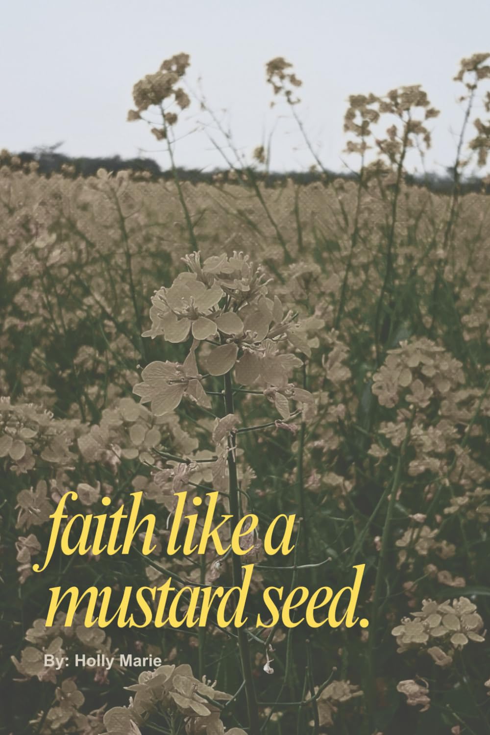 faith like a mustard seed.: Rising up and moving mountains in a broken world.