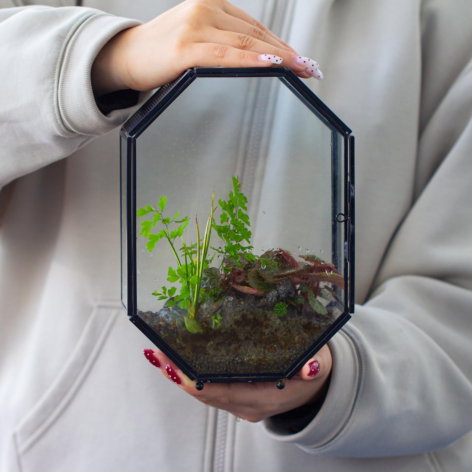 NCYP 15,8x8x22,1 cm Octogonale Terrarium en Verre avec Maille et Porte pour Araignées, Insectes, Petites Plantes (Plantes et Accessoires Non Inclus)
