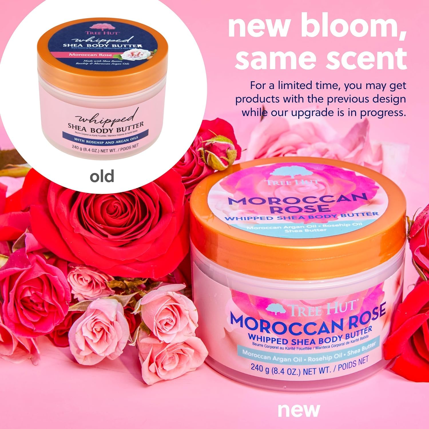 Tree Hut - Masło do ciała z róży z Maroka - Marokańska Rose - Butelka 240 g - Zawiera różę dzikiej i masło shea - Poprawia elastyczność - Odżywia głębokość i wygładza suchą skórę